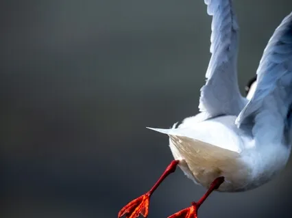 Let's Talk About Death_4