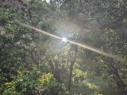 Letter From Life For Low Points