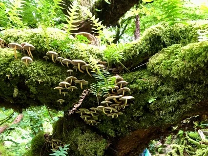 Letters From The Moors - A Sister's Journey 10