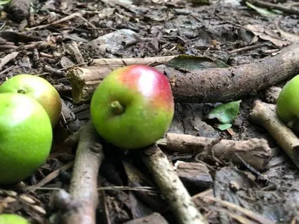 Letters From The Moors - A Sister's Journey 02