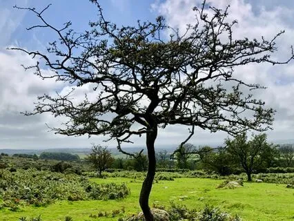 Letters From The Moors - A Sister's Journey 08