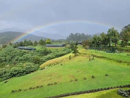 Letters From The Universe-2