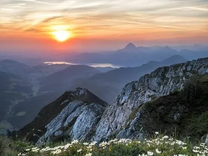 Letting Emotions Come