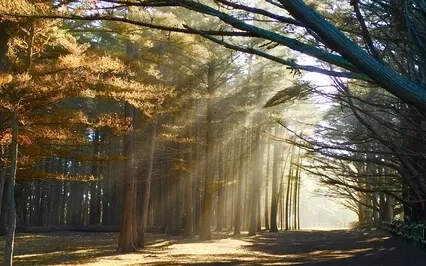 Letting Enough Be Enough