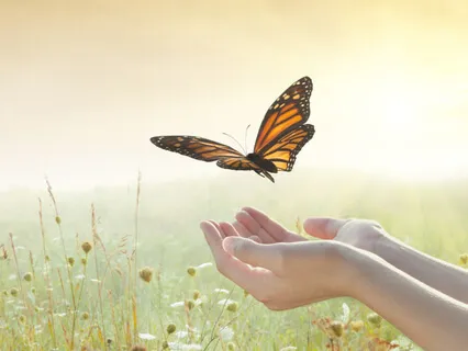 Letting Go - Healing Piano Music