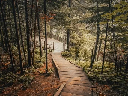 Hold On To Lessons & Let Go Of Pain