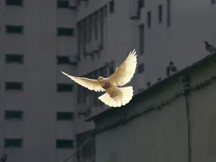 Letting Go: 5 Minute Practice