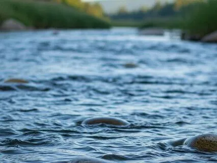 Letting Go: A Meditation For Release And Renewal