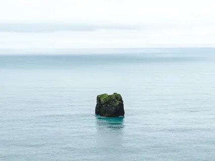 Letting Go: A Practice Of Surrender And Stillness