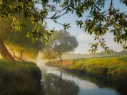 Letting Go - A Series On The Attitudes Of Mindfulness (Week 3)