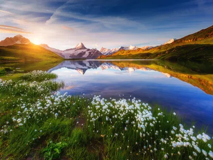 Release, Let Go & Forgive