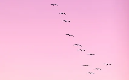 Letting Go And Holding On For Parents