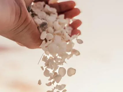 Letting Go Before Sleep