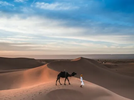 Letting Go, Begin Again