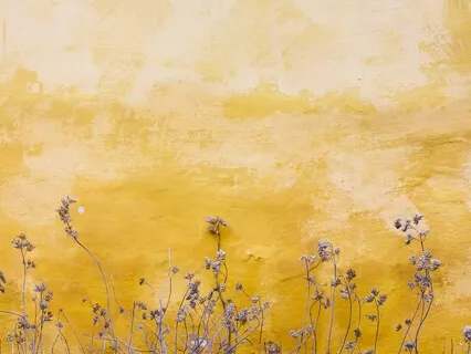 Letting Go - Break Up With Your Diet Meditation Album