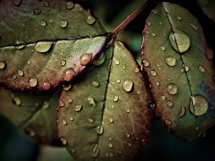 Letting Go By Releasing Muscle Tension