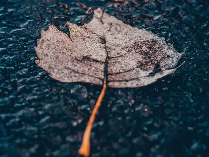 Letting Go - Calming Poetry