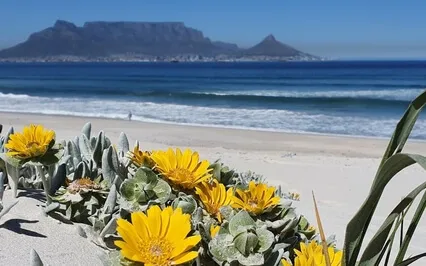 Letting Go - Cords Of Confusion Defensiveness Grief 