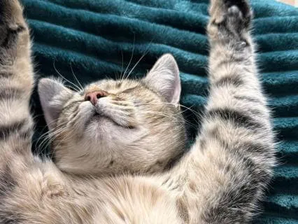 Letting Go: Deep Sleep And Calm