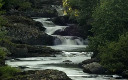 Letting Go... Releasing What Is No Longer Serving You