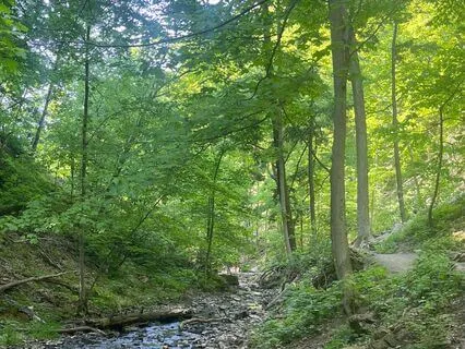 Support For Change: A Grounding Breath Practice