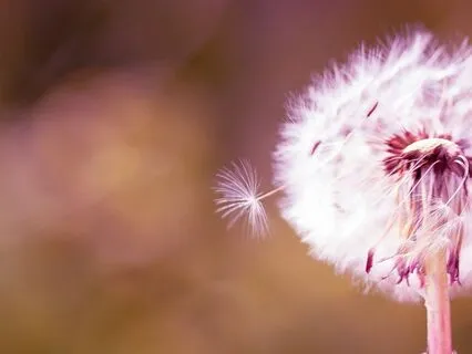 Letting Go – Emotionally : Spiritually : Physically