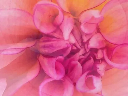 Letting Go For Everyday Flow