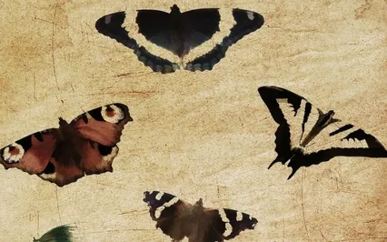 Letting Go Forgive Myself Quick Technique (Under 9 Minutes)