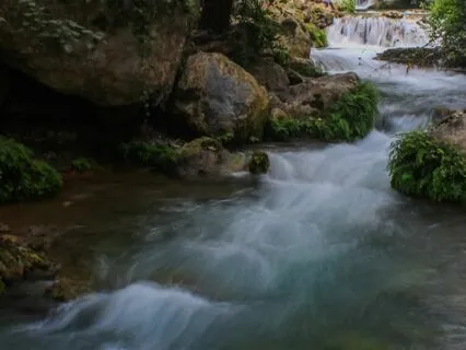 Letting Go Mindfulness Meditation