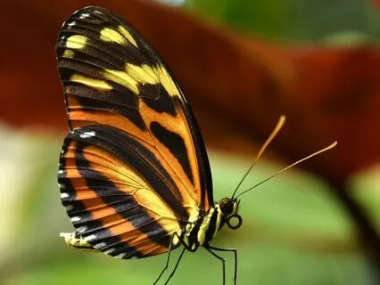 Letting Go In Three Visualizations