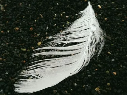 Letting Go Into Peace (With More Silence)