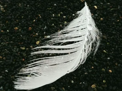 Letting Go Into Peace