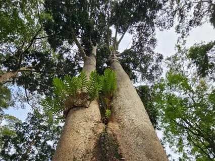 Letting Go Into The Flow Of Life