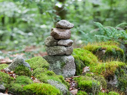 Letting Go Into This Moment