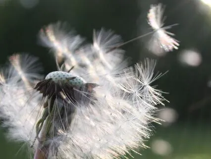 Letting Go & Inviting In