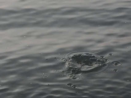 Letting Go Is An Offering: A Journey To Let Go Of Fear & Anxiety