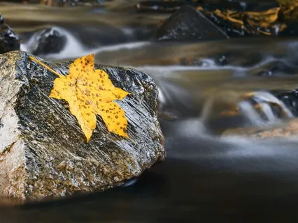 Letting Go, Letting Be Visualization