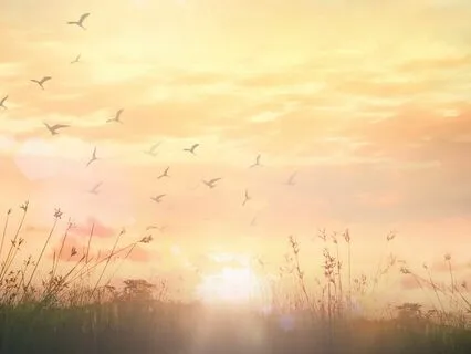 Letting Go Looking Forward In The New Year