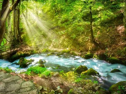 Letting Go: Loosen Anxiety's Grip