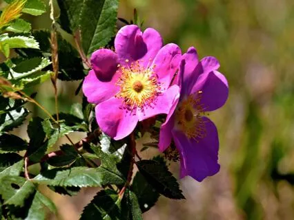 Letting Go, Loving Fully, And Being Seen