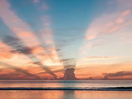 Letting Go & Manifesting Your Dream Life