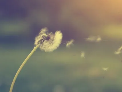 Letting Go Meditation