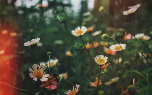 Letting Go Meditation 