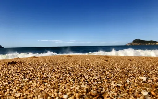 Surrender: The Art Of Letting Go