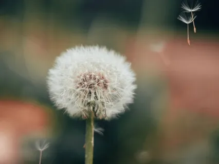 Letting Go Meditation