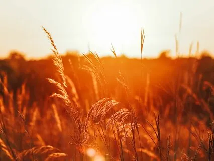 Letting Go Meditation: A Journey To Freedom