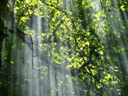 Letting Go Meditation: Release And Renewal