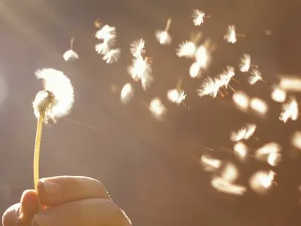 Letting Go Meditation