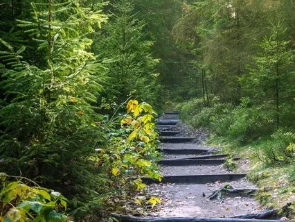 Letting Go Meditation