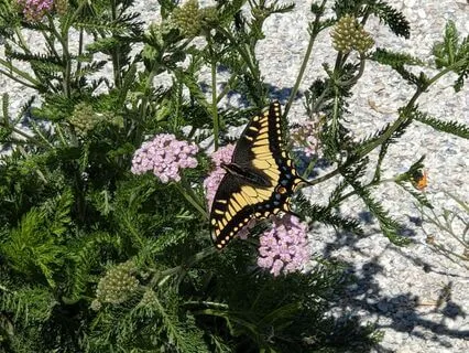 Letting Go | Mindful Motivation